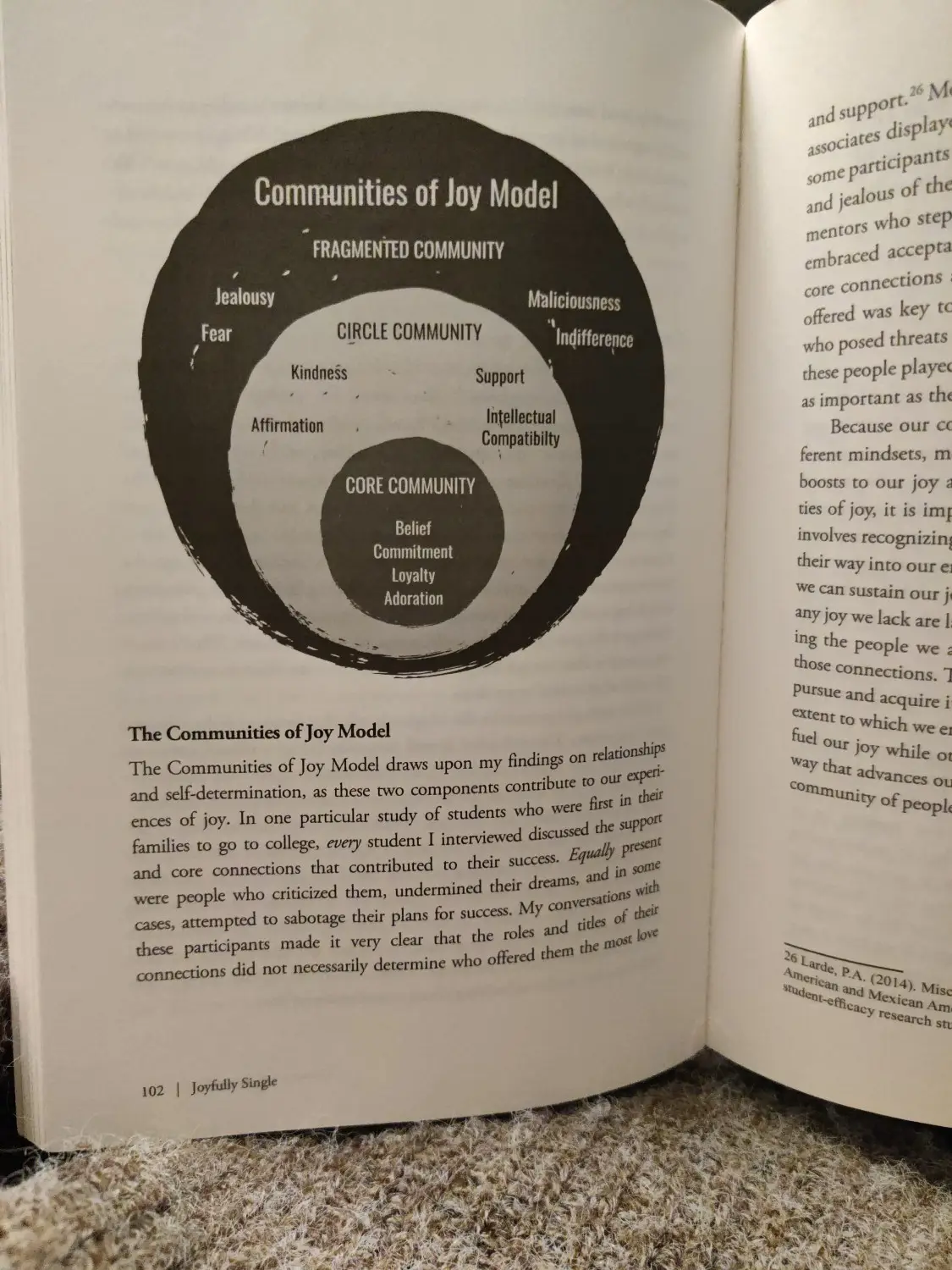 Communities of Joy Model